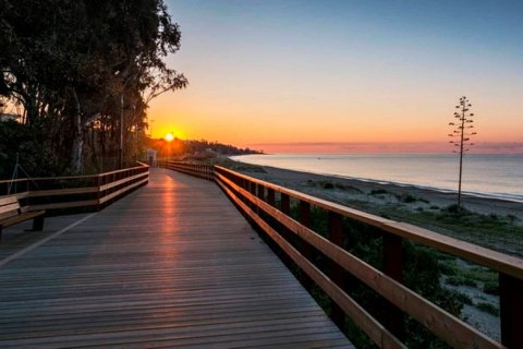 3 bedrooms Office in Phuoc Nghia, Vietnam No. 83924 2