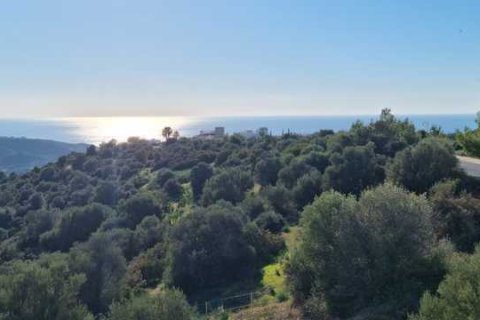 5 bedrooms Villa in Kouklia, Cyprus No. 101140 5