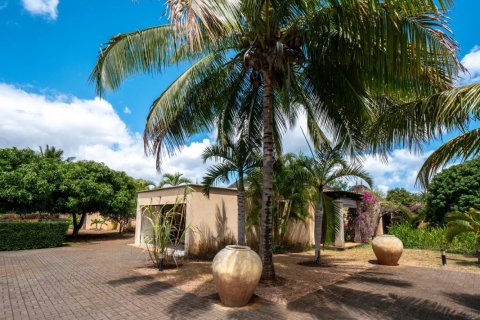 4 bedrooms Villa in Tamarin, Mauritius No. 110424 29