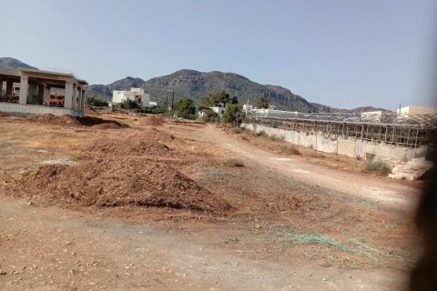 1175m² Land in Lasithi, Greece No. 107885 3