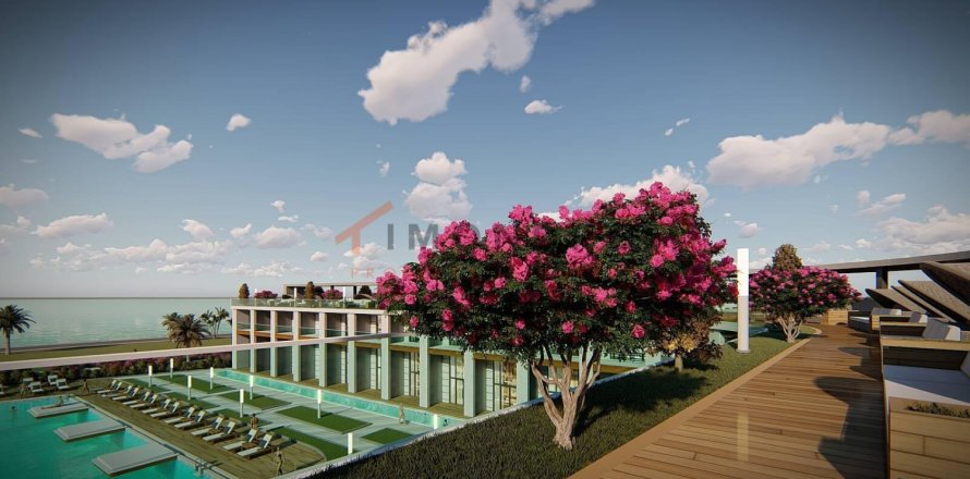 1 bedroom Apartment in Tan Thanh, Vietnam No. 115420