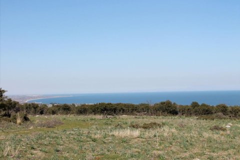 21919m² Land in Litochoro, Greece No. 59796 1
