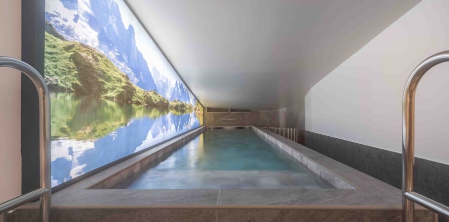 3 bedrooms Apartment in Champagny-en-Vanoise, France No. 100220