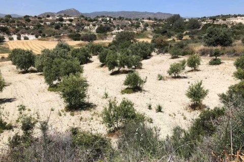 Commercial property à Monagroulli, Cyprus No. 104444 12