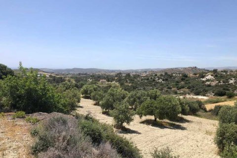 Commercial property à Monagroulli, Cyprus No. 104444 3