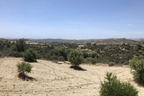 Commercial property à Monagroulli, Cyprus No. 104444 8