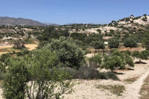 Commercial property à Monagroulli, Cyprus No. 104444 6