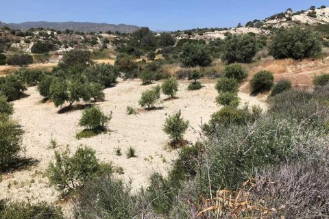 Commercial property à Monagroulli, Cyprus No. 104444 5