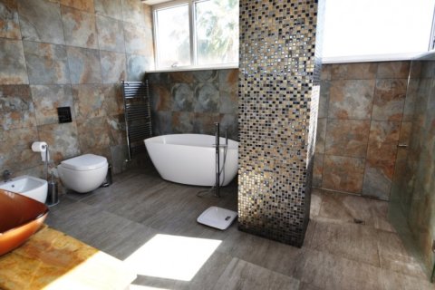 Studio Villa in Limassol, Cyprus No. 105551 8