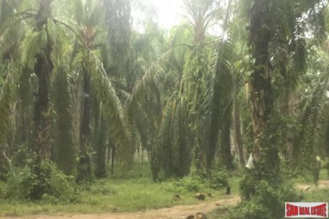 327812m² Land in Phang Nga, Thailand No. 96953 4