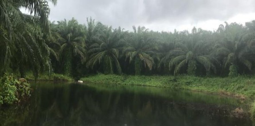 327812m² Land in Phang Nga, Thailand No. 96953