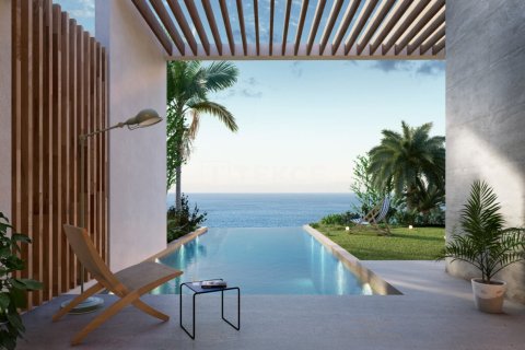 Вилла с 3 спальнями в Phu Ngai, Вьетнам №12866 25