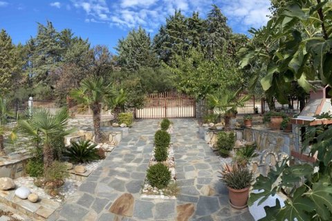 Здание с 4 спальнями в Кавала, Греция №109097 25