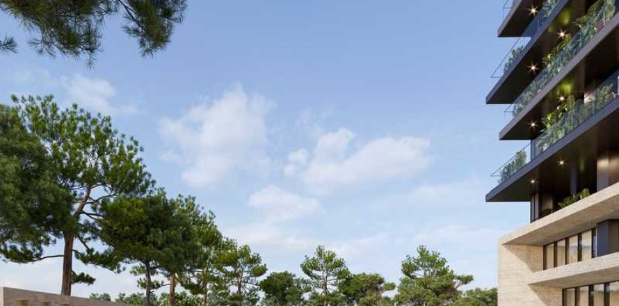 1 bedroom Apartment in Germasogeia, Cyprus No. 71714