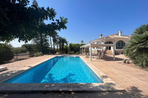 Studio Villa in Rojales, Spain No. 125490