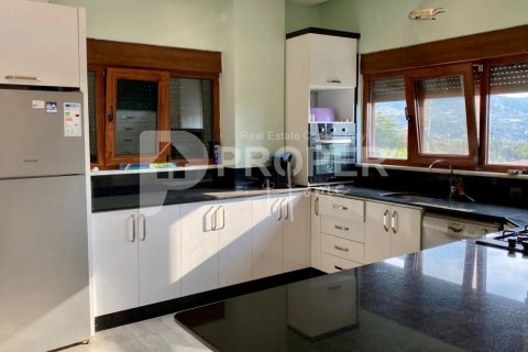 11 rooms Villa à Lien Chieu, Vietnam No. 12295 5