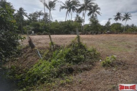 14070.4m² Land in Mai Khao, Thailand No. 96081 5