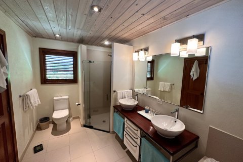 1 bedroom Villa in Freetown, Antigua and Barbuda No. 61359 8