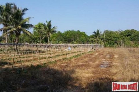 Apartment in Mai Khao, Thailand No. 96502 1