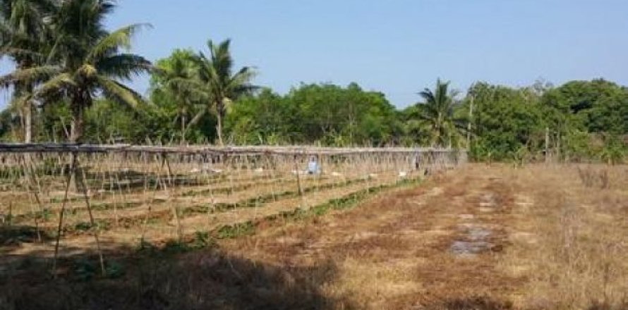 Studio Apartment in Mai Khao, Thailand No. 96502