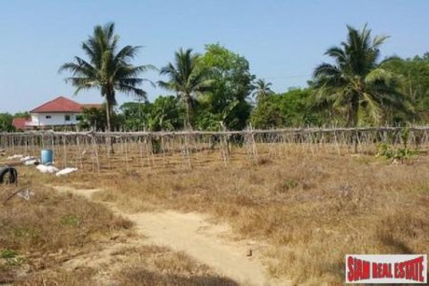 Apartment in Mai Khao, Thailand No. 96502 5