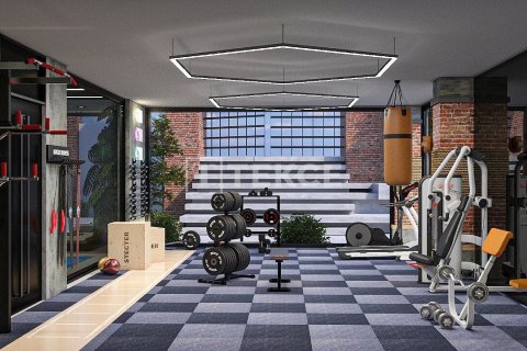 2 chambres Penthouse à Chau Lang, Vietnam No. 74056 8