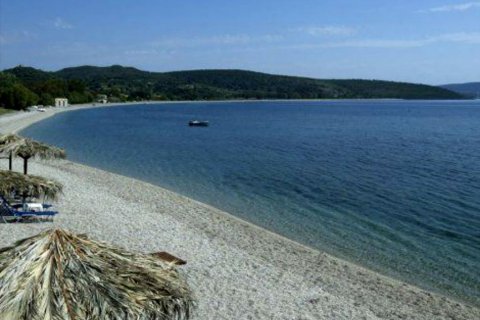 13527m² Land in Laconia, Greece No. 58912 5