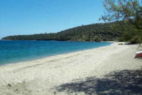 13527m² Land in Laconia, Greece No. 58912 7