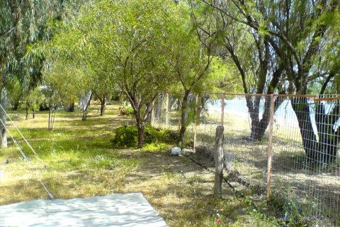 13527m² Land in Laconia, Greece No. 58912 8