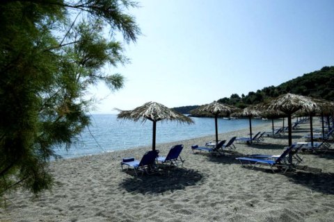 13527m² Land in Laconia, Greece No. 58912 6