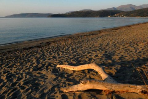 13527m² Land in Laconia, Greece No. 58912 3