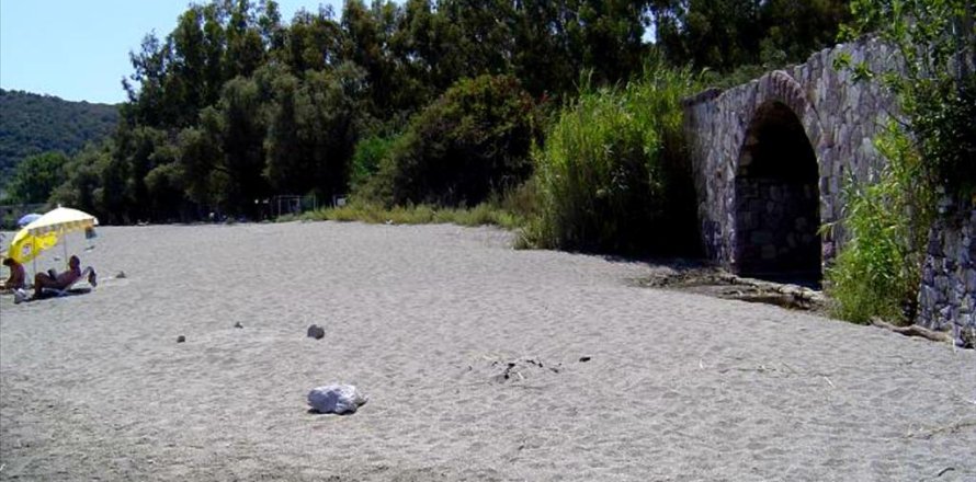 13527m² Land in Laconia, Greece No. 58912