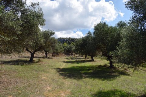 Земельный участок 9848м² в Ханья, Греция №58447 3