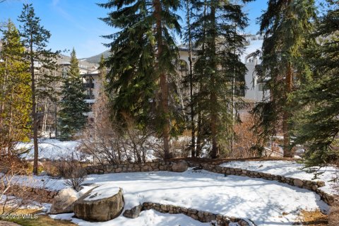 2 bedrooms Condo  in Vail, USA No. 104551 19