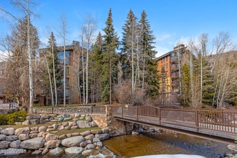 2 bedrooms Condo  in Vail, USA No. 104551 22