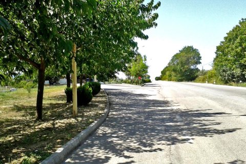 Business in Euboea, Greece No. 109710 7