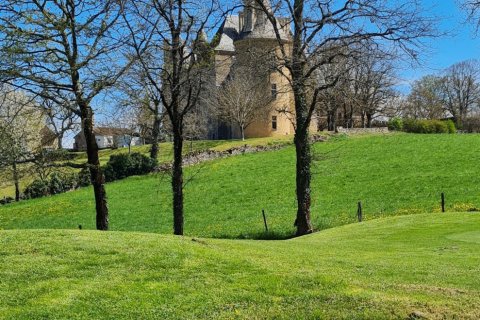 4 bedrooms Villa in Dordogne, France No. 81947 17