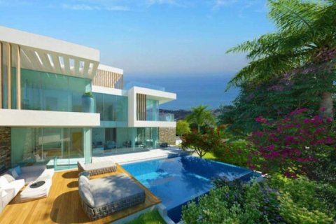 4 bedrooms Villa in Paphos, Cyprus No. 106678 2