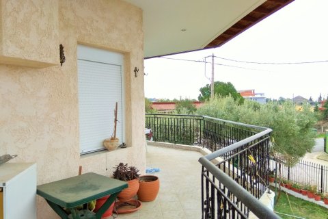 7 bedrooms House in Polygyros, Greece No. 109633 27