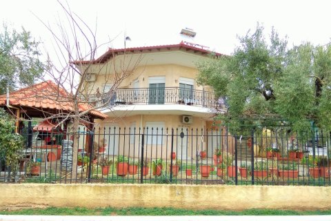 7 bedrooms House in Polygyros, Greece No. 109633 1