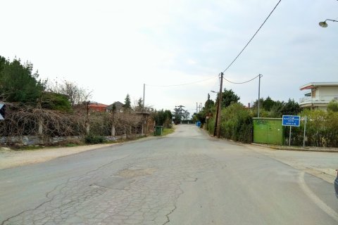 7 bedrooms House in Polygyros, Greece No. 109633 14