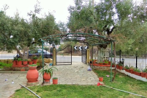 7 bedrooms House in Polygyros, Greece No. 109633 22