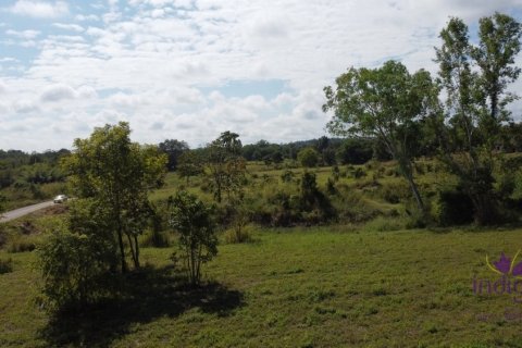 Land in Chiang Mai, Thailand No. 97691 5