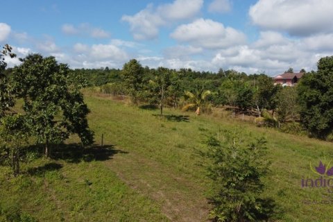 Land in Chiang Mai, Thailand No. 97691 7