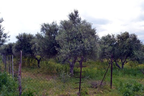 4500m² Land en Gazi, Greece No. 57406 6