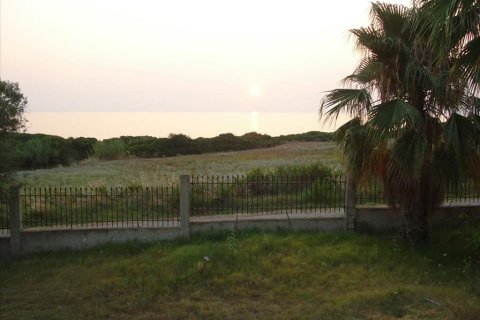 3 chambres House à Chalkidiki, Greece No. 109659 14