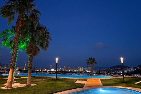 3 chambres Penthouse à Long Dinh, Vietnam No. 83854 5