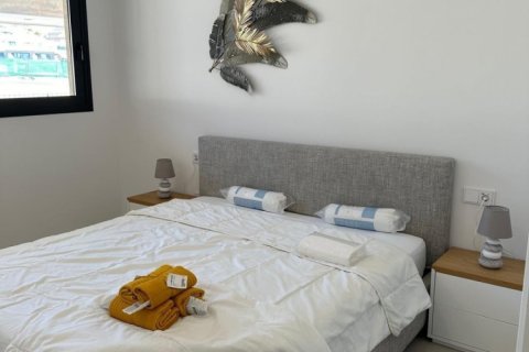 3 chambres Penthouse à Long Dinh, Vietnam No. 83854 13