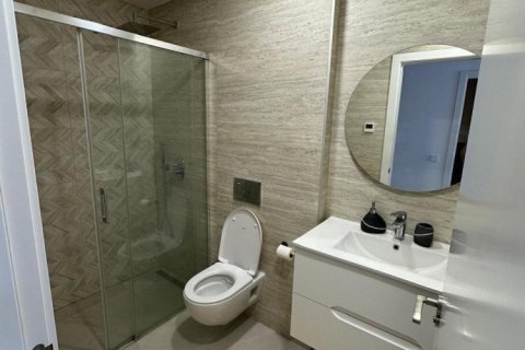 3 chambres Penthouse à Long Dinh, Vietnam No. 83854 15