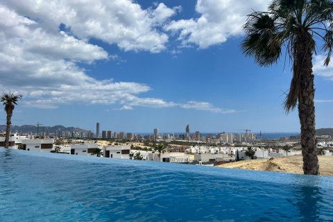 3 chambres Penthouse à Long Dinh, Vietnam No. 83854 4